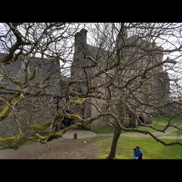 Meet your Posher, Kris - Picture 5 of 8